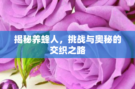 挑战与奥秘的交织之路图片