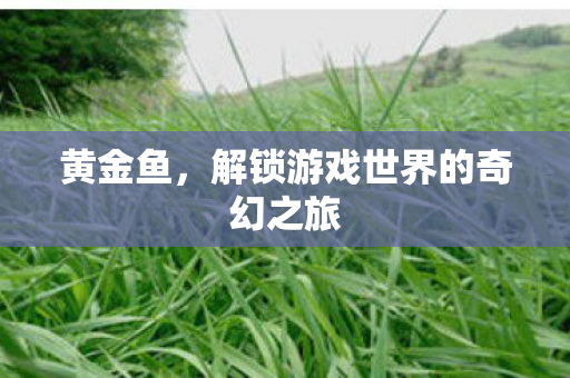 解锁游戏世界的奇幻之旅图片