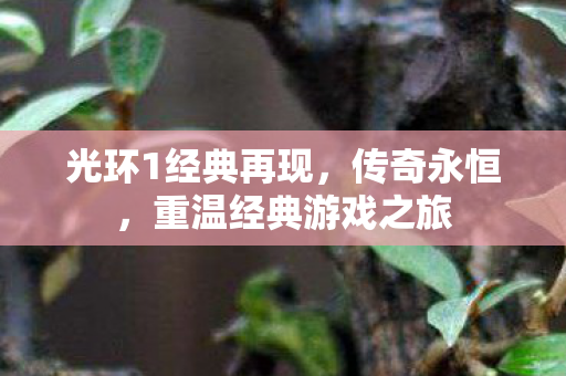 重温经典游戏之旅图片