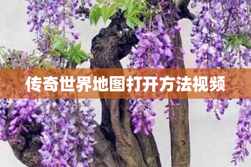 传奇世界地图打开方法视频图片