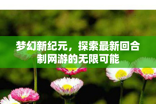探索最新回合制网游的无限可能图片