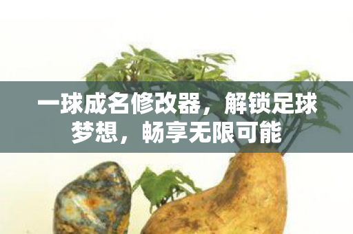一球成名修改器图片