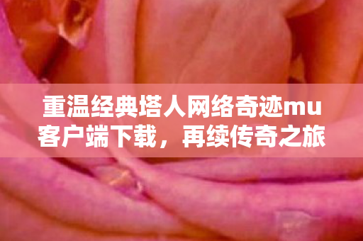 重温经典塔人网络奇迹mu客户端下载图片