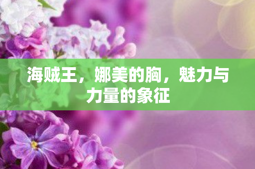 海贼王,娜美的胸,魅力与力量的象征 海贼王,娜美的胸,魅力与力量的象征