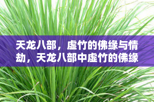 天龙八部,虚竹的佛缘与情劫,天龙八部中虚竹的佛缘与情劫,一段传奇的武侠之旅 天龙八部,虚竹的佛缘与情劫,天龙八部中虚竹的佛缘与情劫,一段传奇的武侠之旅