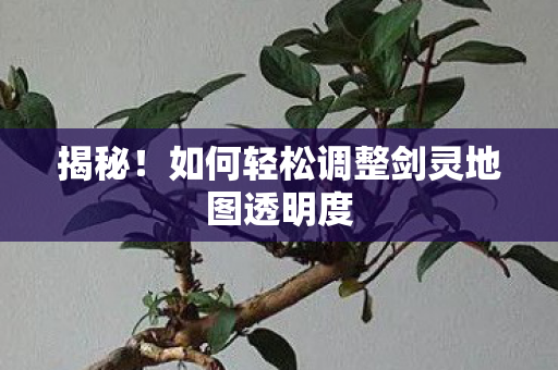 如何轻松调整剑灵地图透明度图片