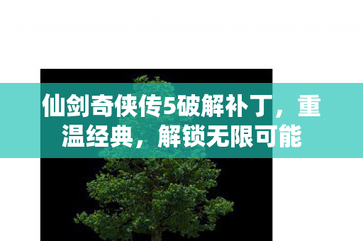 仙剑奇侠传5破解补丁图片