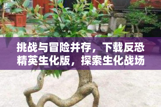 挑战与冒险并存,下载反恐精英生化版,探索生化战场 挑战与冒险并存,下载反恐精英生化版,探索生化战场