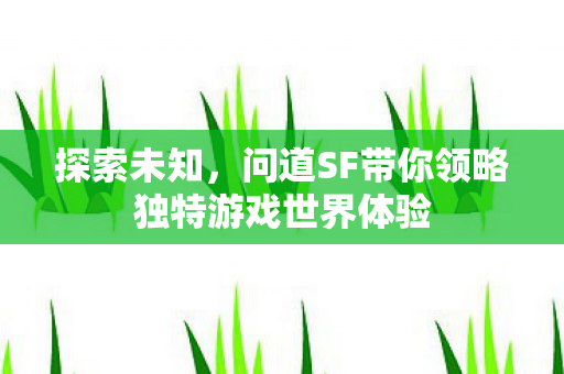 问道SF带你领略独特游戏世界体验图片