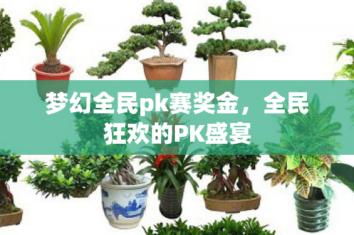 梦幻全民pk赛奖金图片