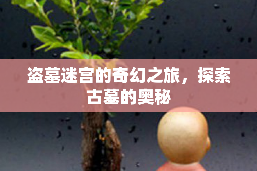 盗墓迷宫的奇幻之旅图片