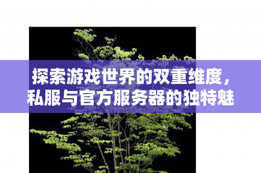 私服与官方服务器的独特魅力图片
