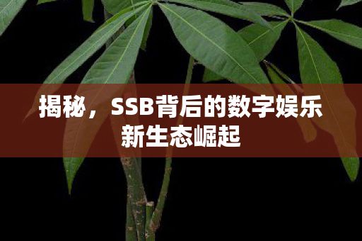 揭秘,SSB背后的数字娱乐新生态崛起 揭秘,SSB背后的数字娱乐新生态崛起