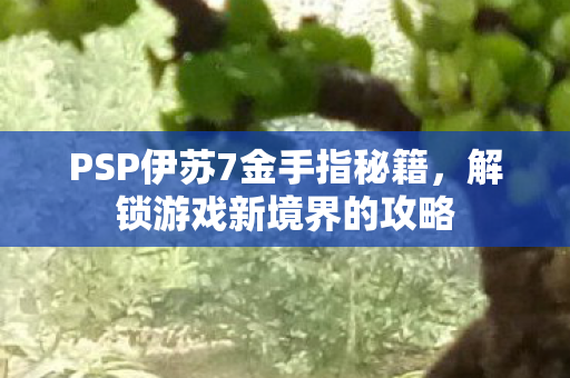 PSP伊苏7金手指秘籍图片