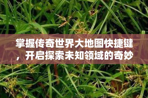 开启探索未知领域的奇妙之旅图片