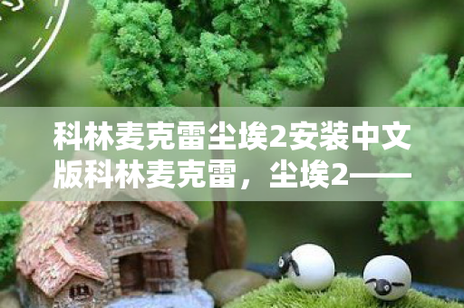 科林麦克雷尘埃2安装中文版科林麦克雷图片