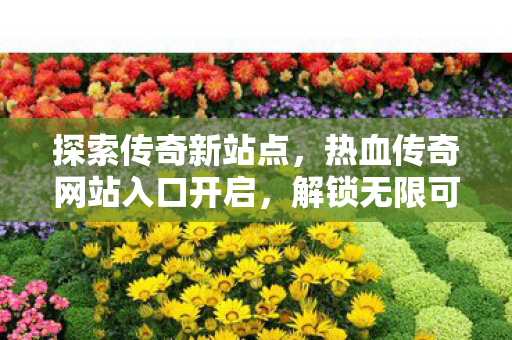 热血传奇网站入口开启图片