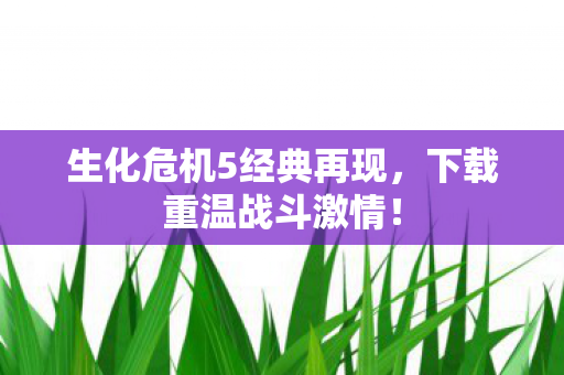 生化危机5经典再现图片