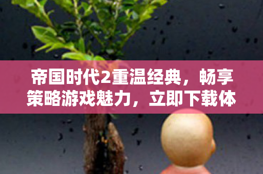 帝国时代2重温经典图片