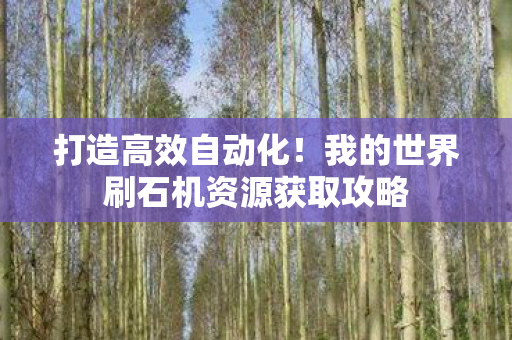 我的世界刷石机资源获取攻略图片