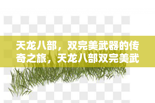 双完美武器的传奇之旅图片