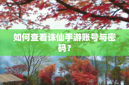 如何查看诛仙手游账号与密码图片