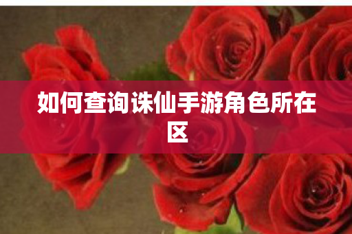 如何查询诛仙手游角色所在区图片