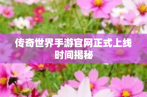 传奇世界手游官网正式上线时间揭秘图片