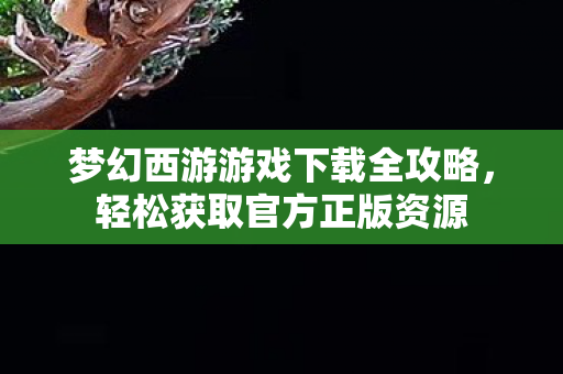 梦幻西游游戏下载全攻略图片