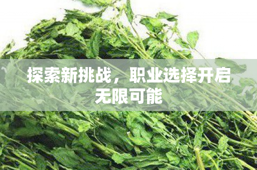 职业选择开启无限可能图片