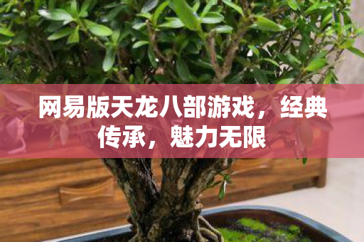 网易版天龙八部游戏图片
