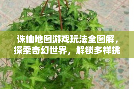 诛仙地图游戏玩法全图解图片