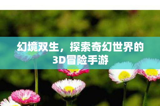 探索奇幻世界的3D冒险手游图片