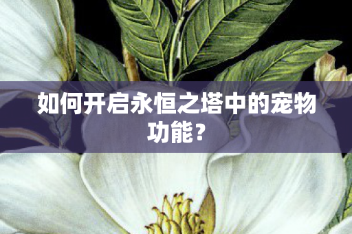 如何开启永恒之塔中的宠物功能图片