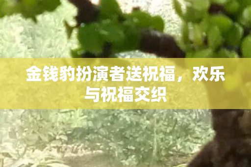 金钱豹扮演者送祝福图片