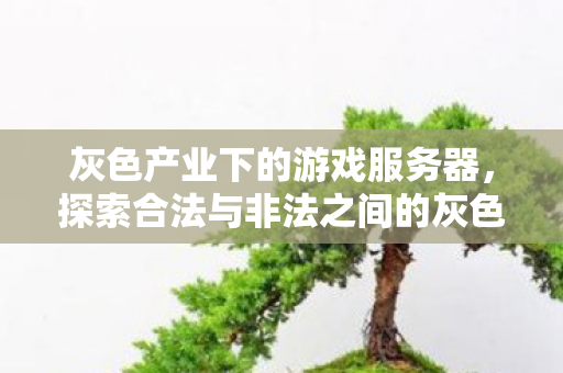 探索合法与非法之间的灰色地带图片