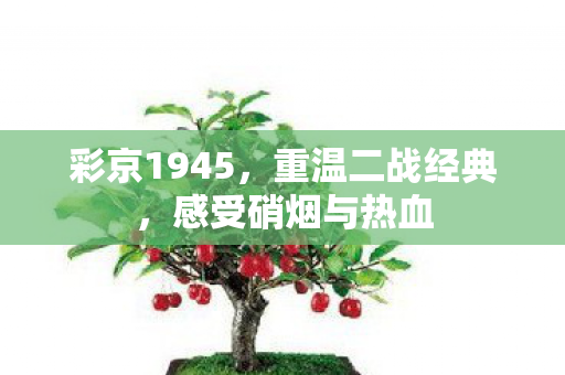 感受硝烟与热血图片
