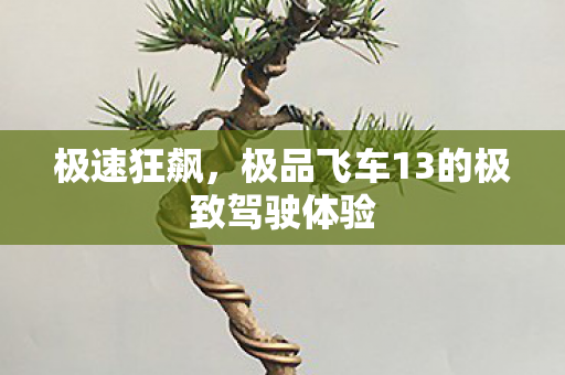 极品飞车13的极致驾驶体验图片