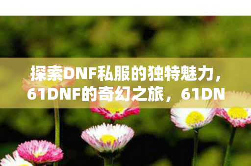 探索DNF私服的独特魅力图片