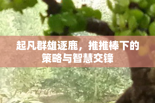 推推棒下的策略与智慧交锋图片