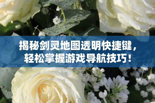 揭秘剑灵地图透明快捷键图片