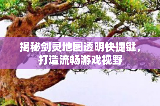 揭秘剑灵地图透明快捷键图片