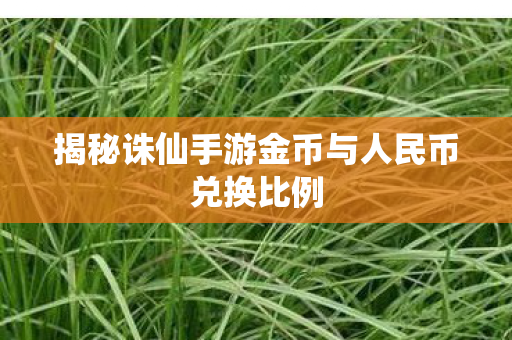 揭秘诛仙手游金币与人民币兑换比例图片