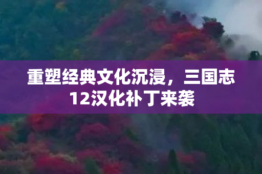 三国志12汉化补丁来袭图片