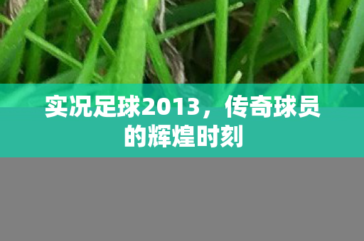 传奇球员的辉煌时刻图片