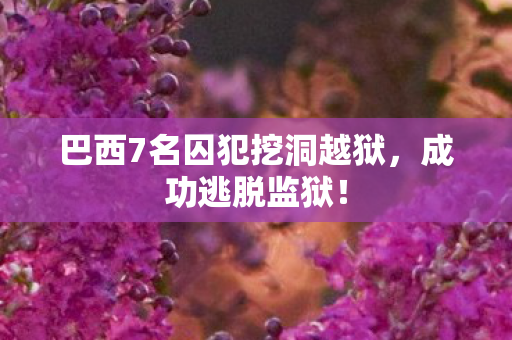 巴西7名囚犯挖洞越狱图片