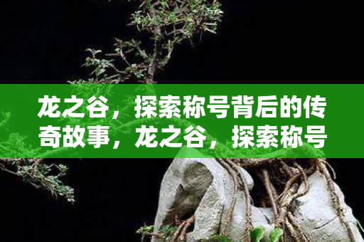 探索称号背后的传奇故事图片