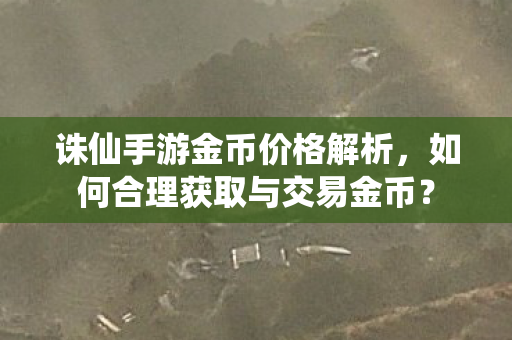 如何合理获取与交易金币图片