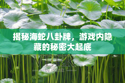 游戏内隐藏的秘密大起底图片