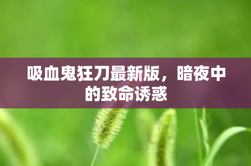 吸血鬼狂刀最新版图片